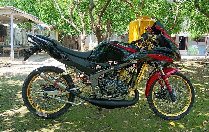Ninja RR 2015 (facebook.com/Ferry)