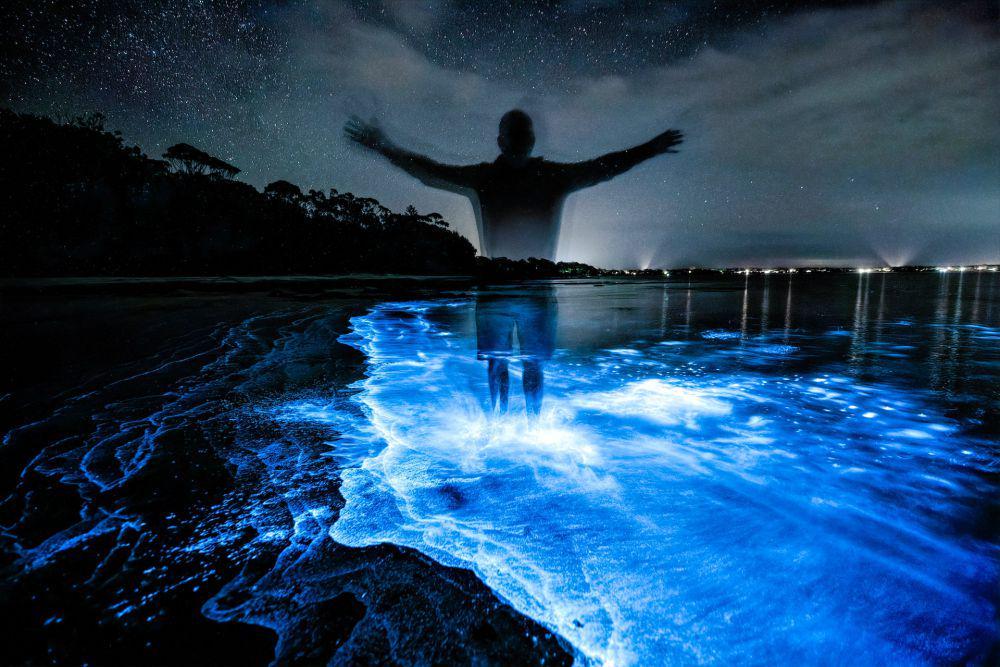 ilustrasi fenomena bioluminesensi pada plankton di perairan (unsplash.com/Trevor McKinnon)