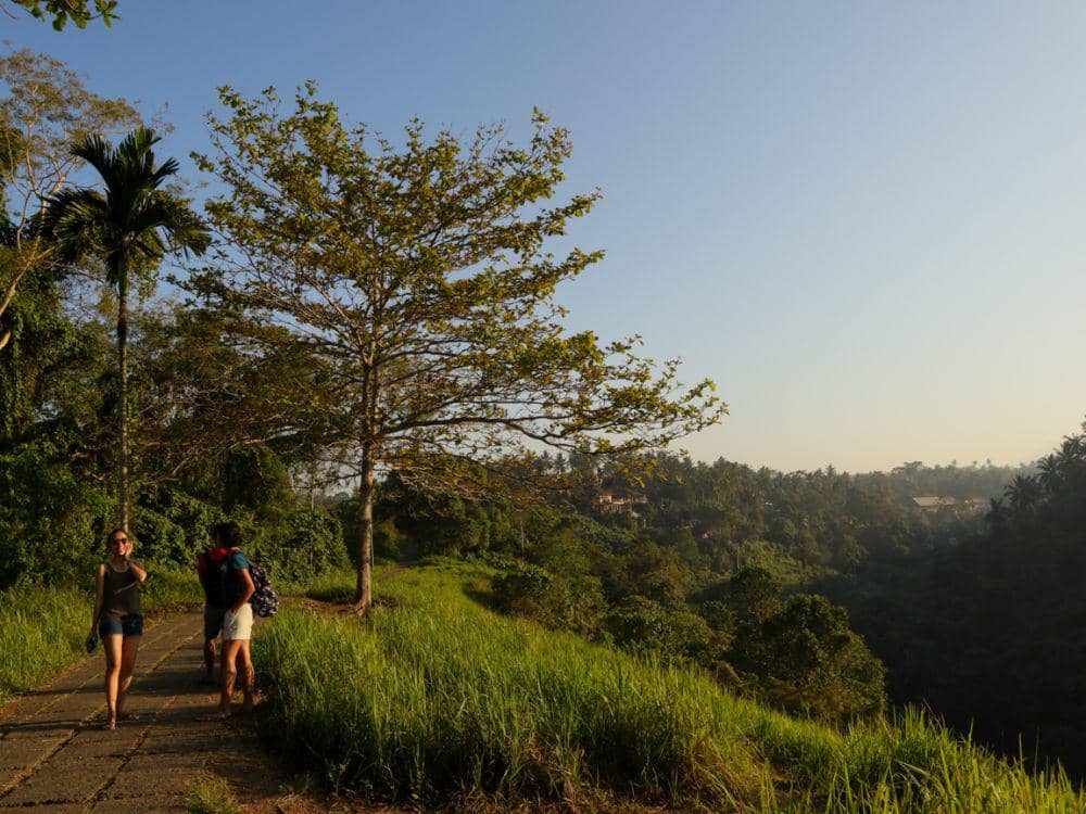 Bukit Campuhan, salah satu alternatif tempat liburan selain pantai di Bali (Dok.Pribadi/Natalia Indah)