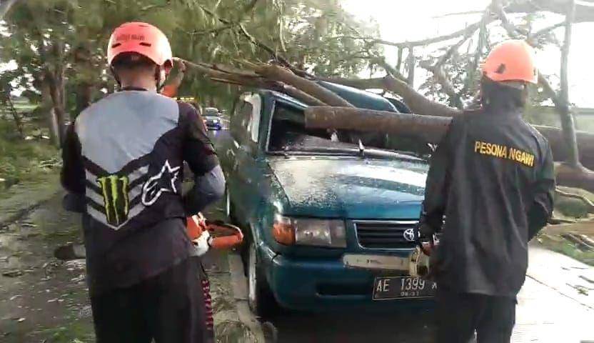 Sebuah mobil ringsek tertimpa pohon tumbang di Ngawi. IDN Times/ Riyanto