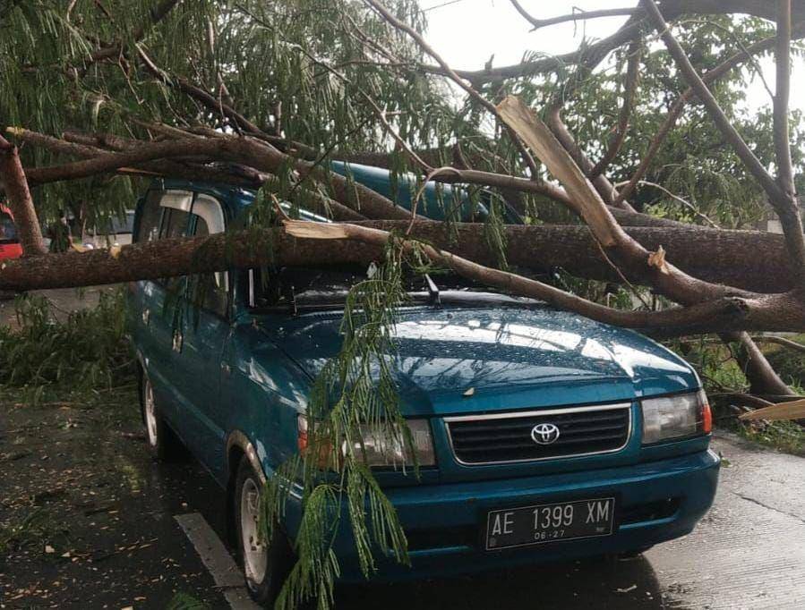 Sebuah mobil ringsek tertimpa pohon tumbang di Ngawi. IDN Times/ Riyanto