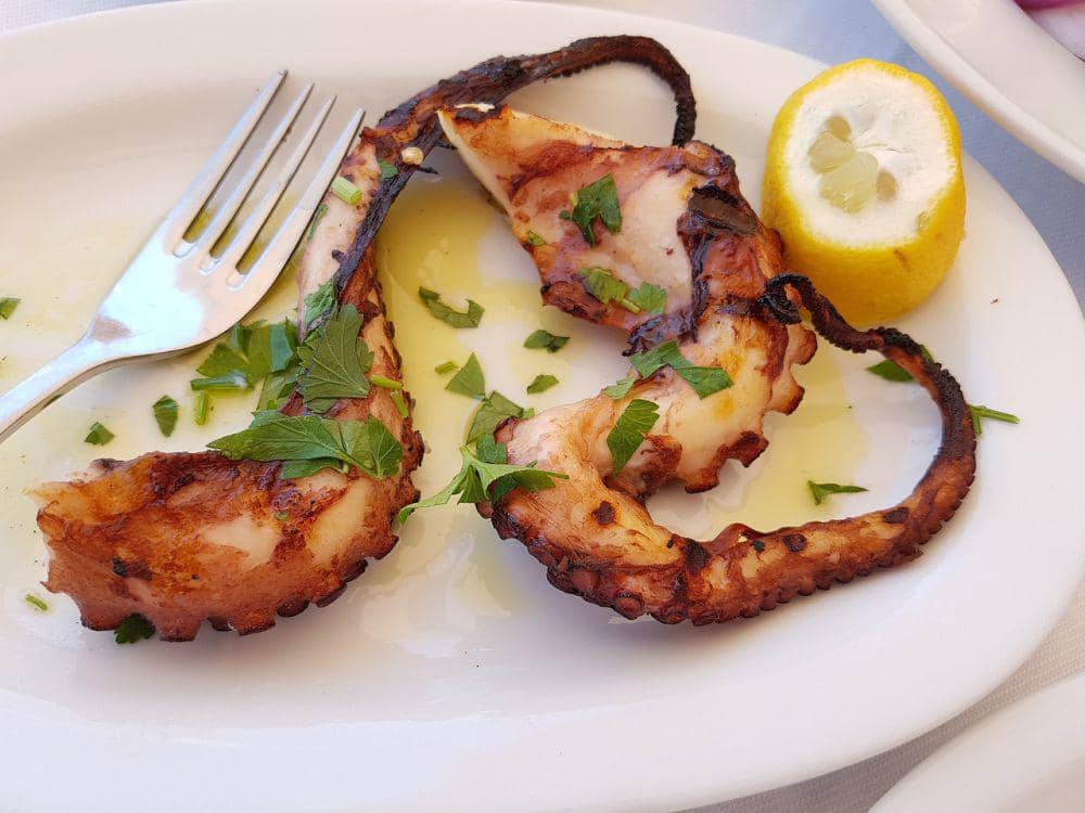 ilustrasi gurita (pixabay.com/kundenheld)