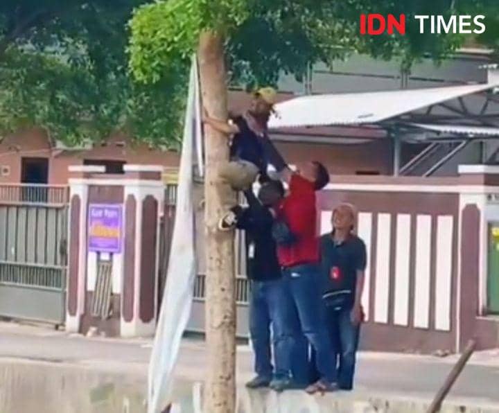 Salah satu pelanggaran APK yang dipasang di pohon.(IDN Times/Cokie Sutrisno).