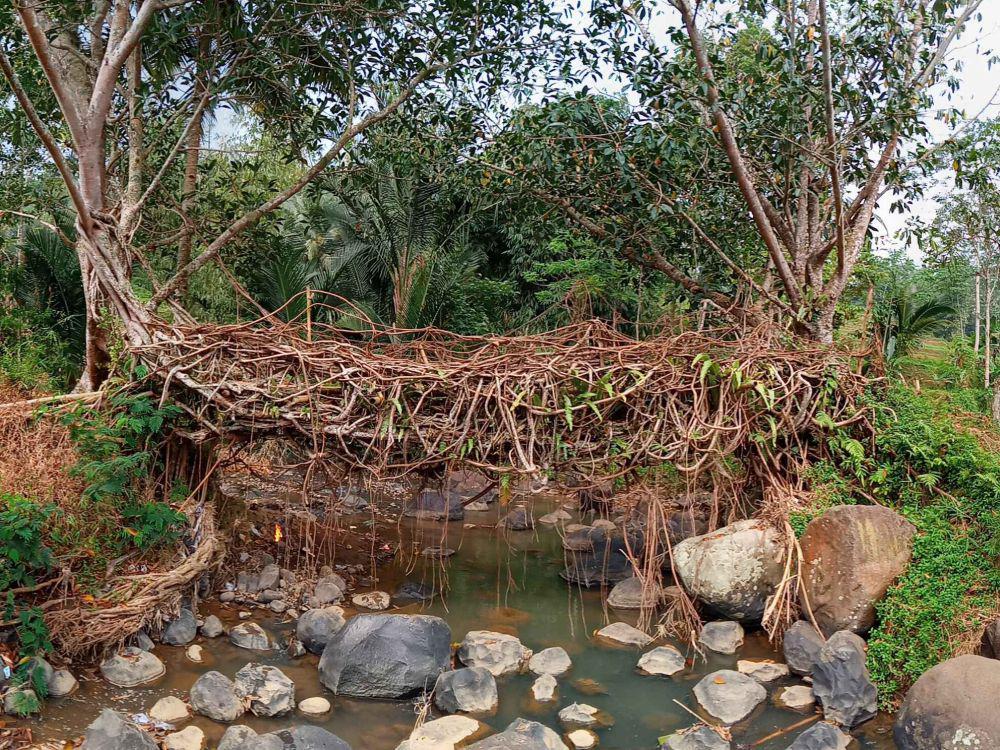 Jembatan Akar Santoaan, Jawa Barat (google.com/maps/jack 6683)