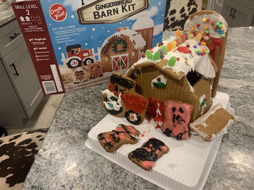 momen membuat gingerbread sesuai ekspektasi (reddit.com/user/never_go_full_potato)
