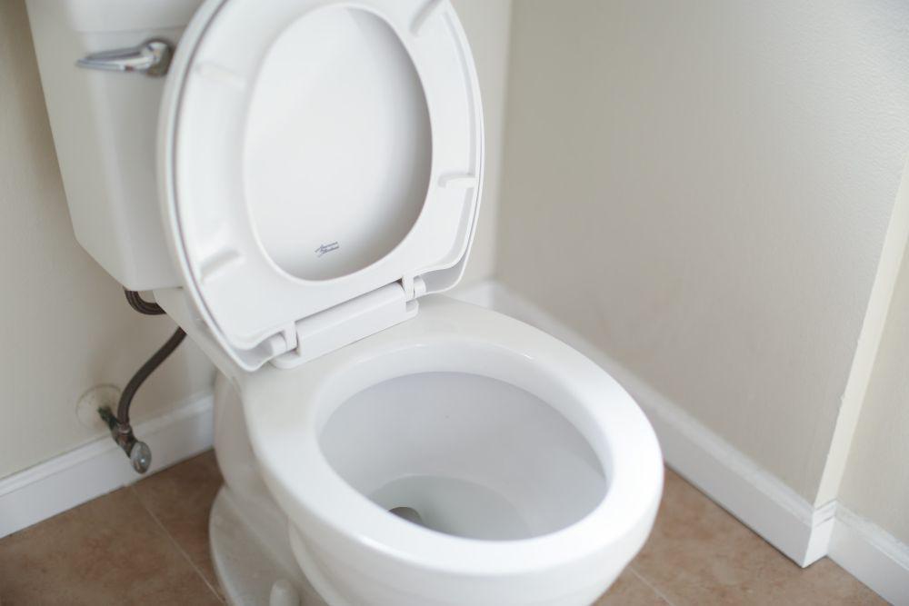 ilustrasi toilet (unsplash.com/Giorgio Trovato)