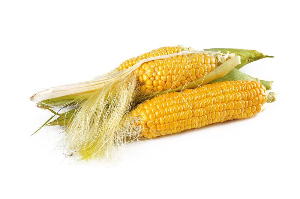 ilustrasi jagung (pixabay.com/Larisa-K)