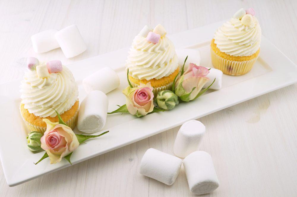 ilustrasi cupcake (pixabay.com/Pexels)