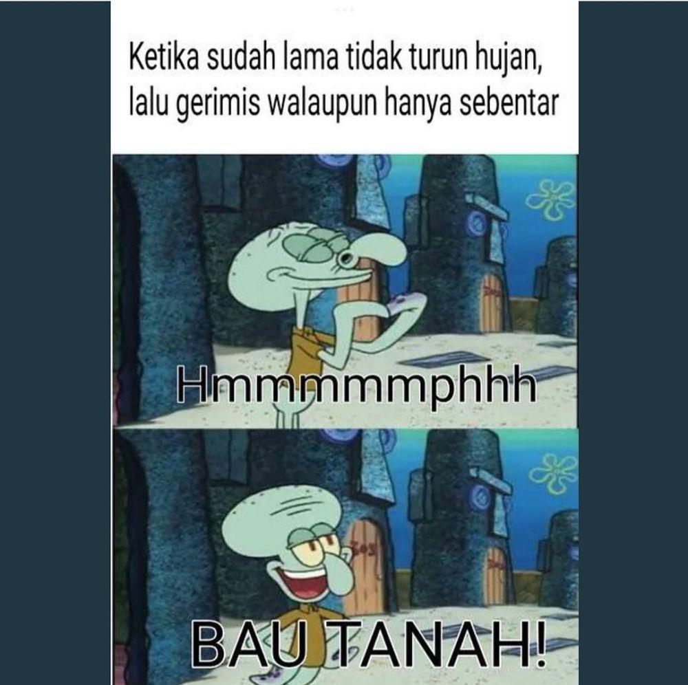 meme Squidward (instagram.com/onecak)