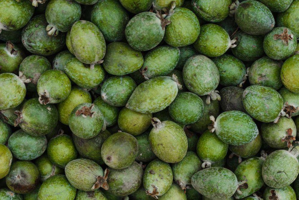 feijoa fruit (pexels.com/Arina Krasnikova)