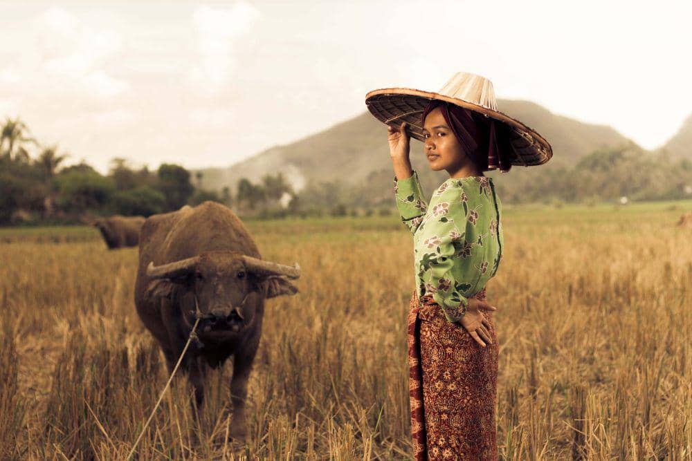 Ilustrasi pertanian tradisional (pexels.com/Ihsan Adityawarman)