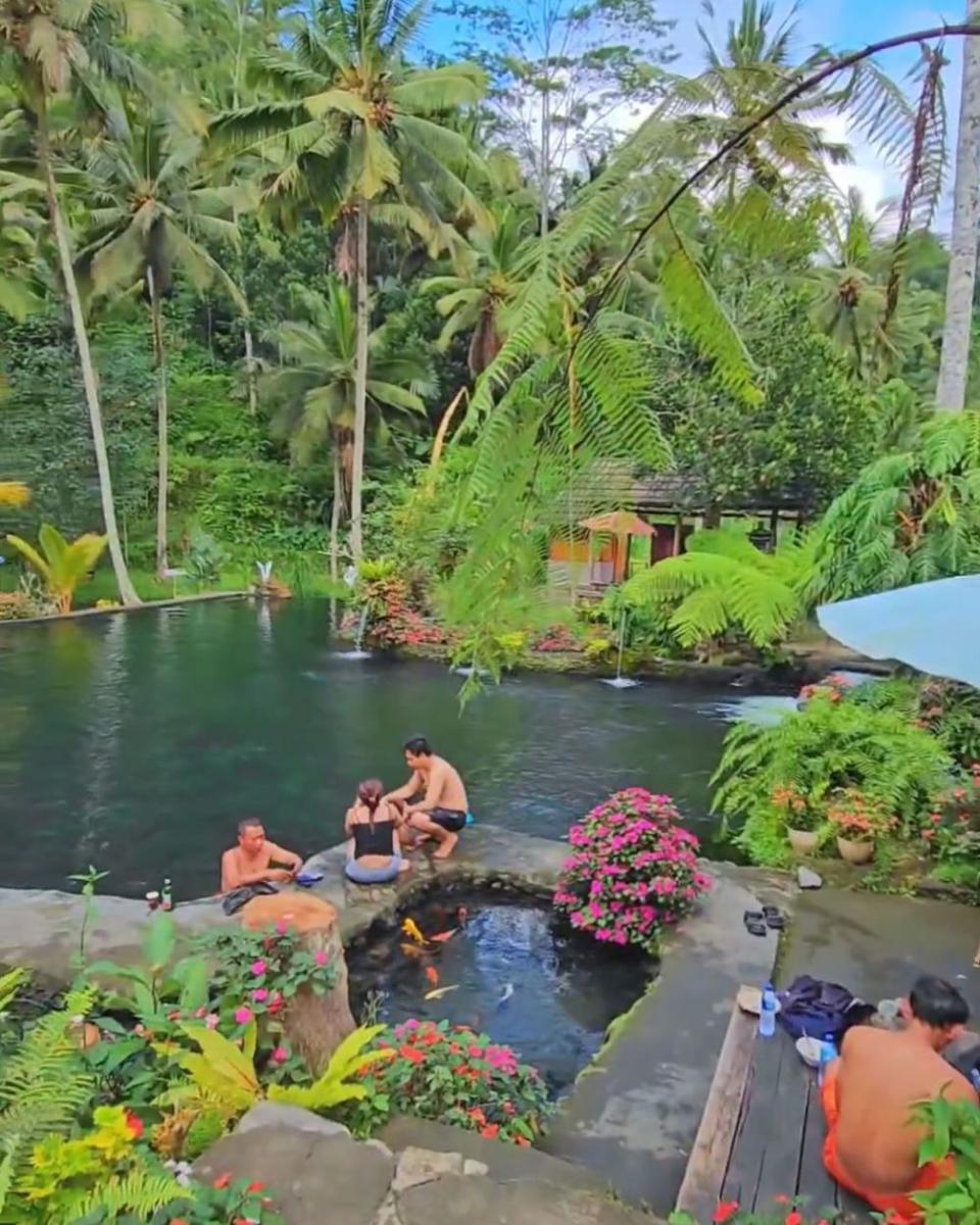 Sejuknya suasana Telaga Surya Natural Pool yang dikelilingi nuansa alam (Instagram.com/@telagasurya_)