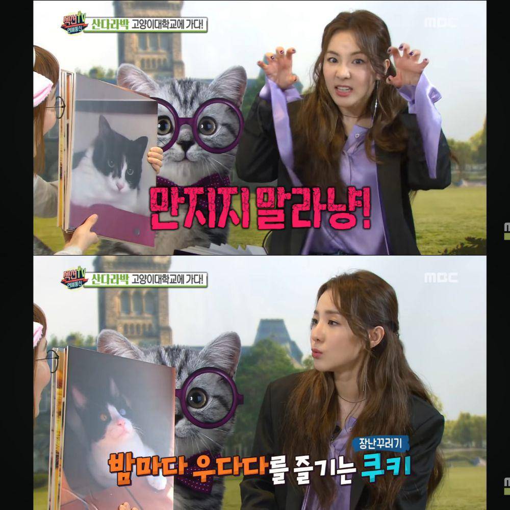 Sandara Park (youtube.com/MBCentertainment)