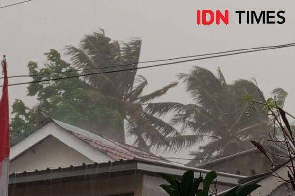 Ilustrasi hujan lebat disertai angin kencang. (IDN Times/Muhammad Nasir)