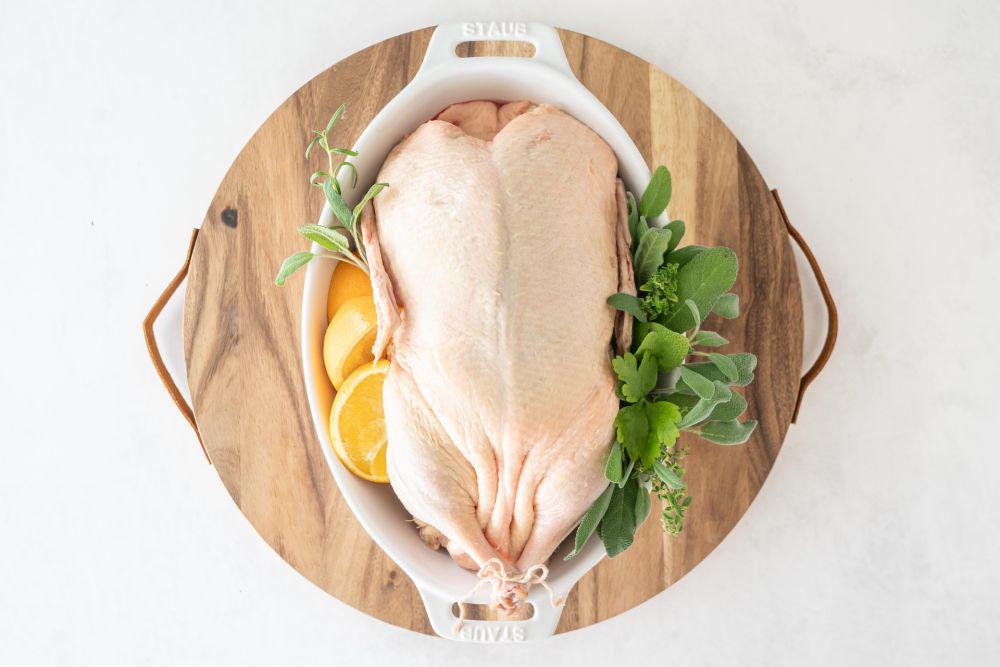 ilustrasi daging bebek (unsplash.com/Hayley Ryczek)