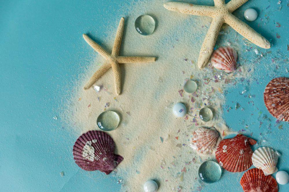6 Hewan Laut yang Unik dan Menarik, Ada Bintang Laut dan Sea Squirt
