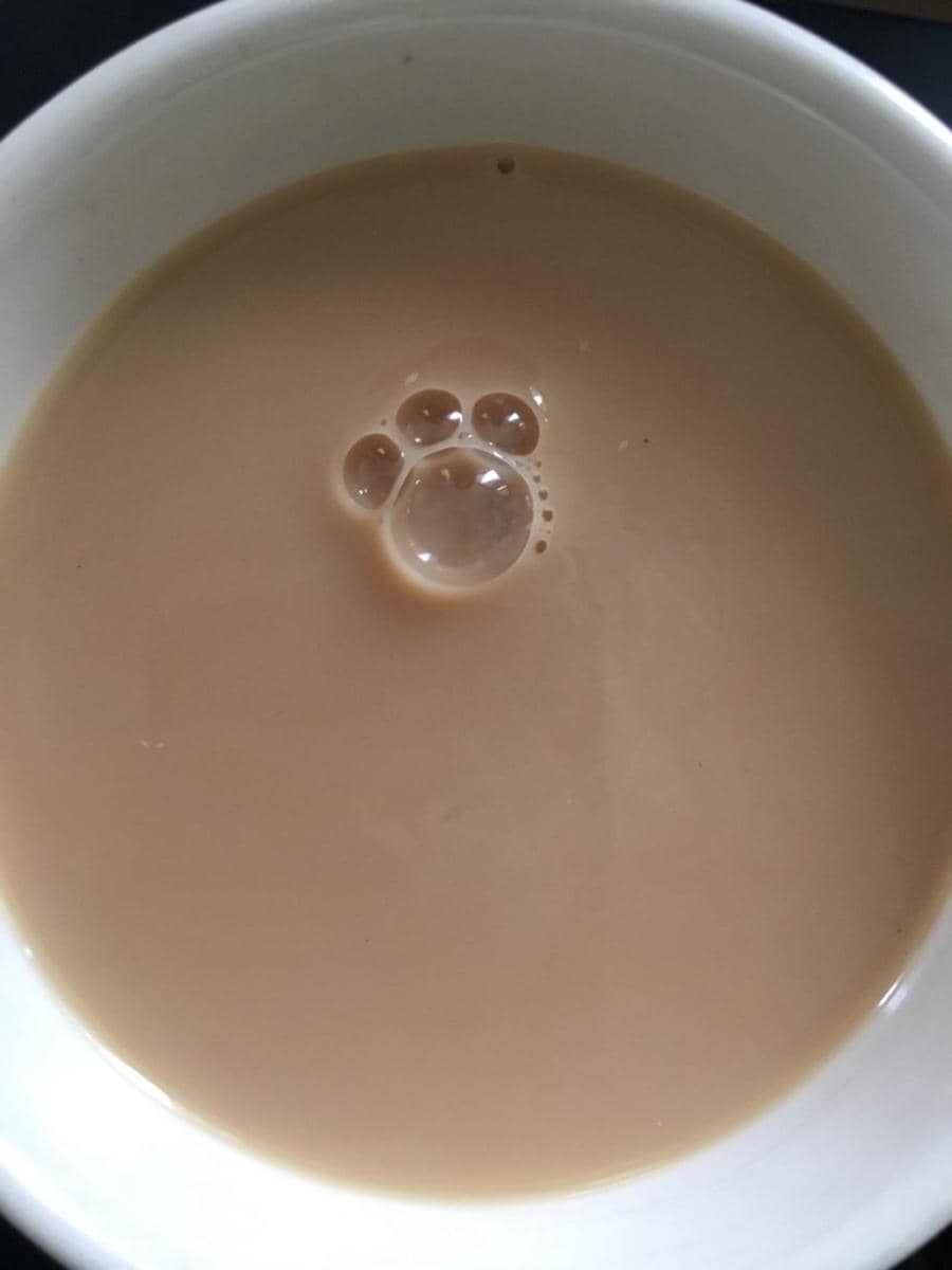 potret gelembung di minuman membentuk sesuatu (reddit.com/user/chickenlaaag)