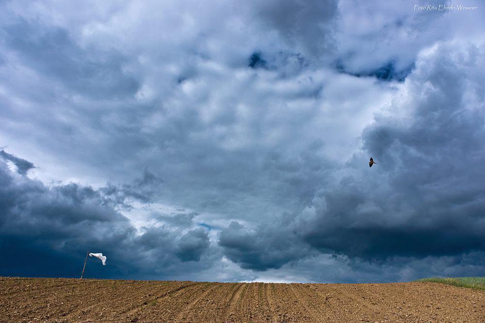 ilustrasi turbulensi yang bertambah parah (flickr.com/Rita Eberle-Wessner)