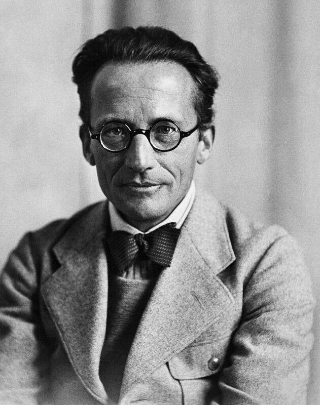 ilustrasi Erwin Schrödinger (flickr.com/Tullio Saba)