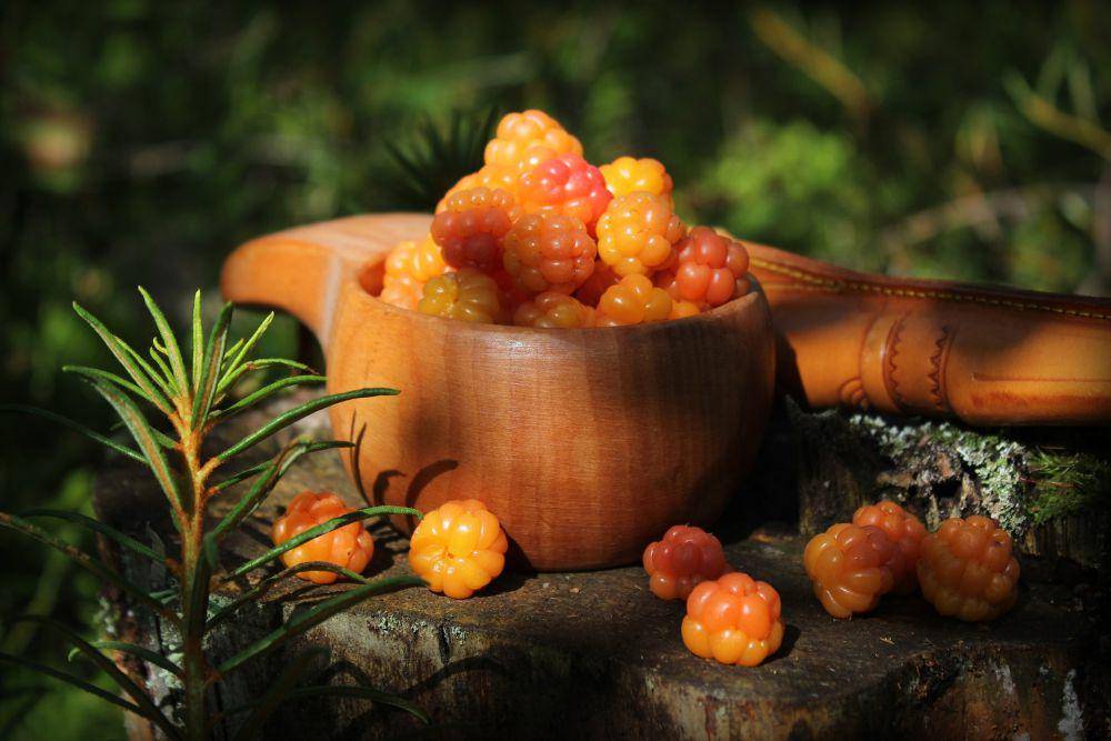 ilustrasi tanaman cloudberry (unsplash.com/Anne Nygård)