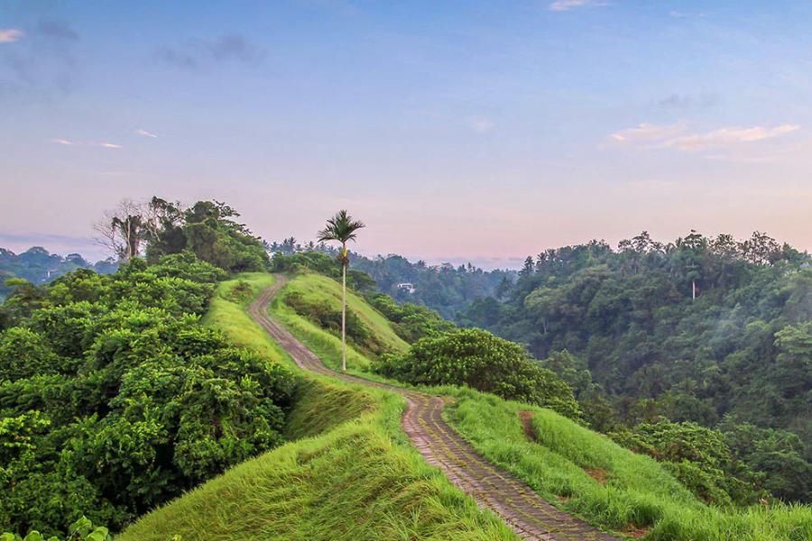 [QUIZ] Tebak Nama Kota di Indonesia Berdasarkan Bukit Cantiknya!