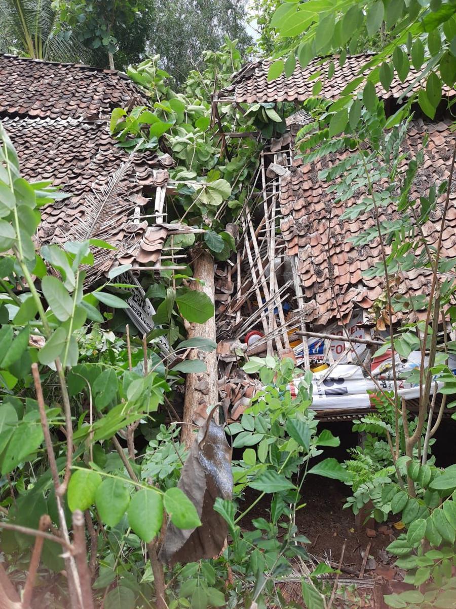 Dampak Cuaca Ekstrem di DIY, Ratusan Rumah Alami Kerusakan