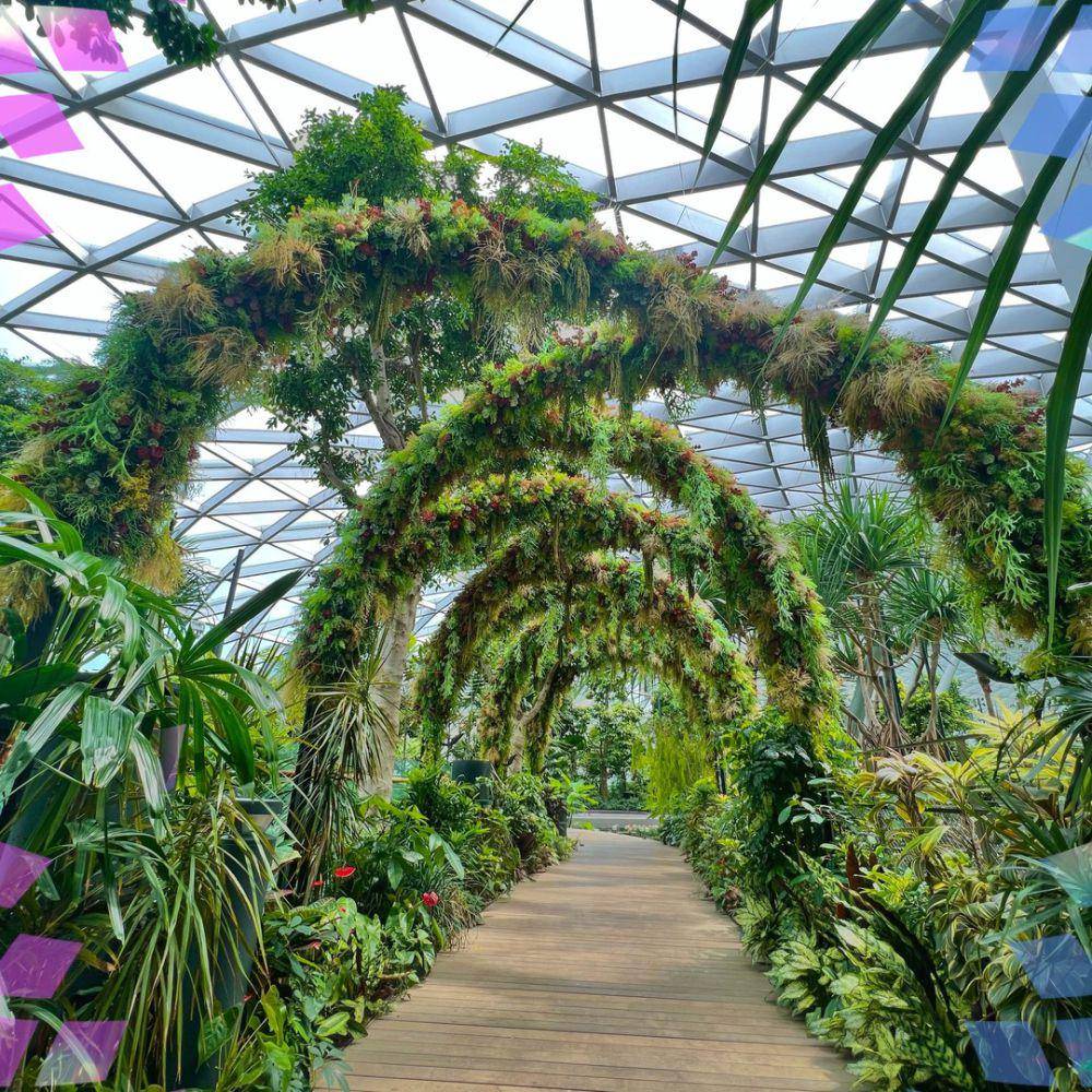spot wisata Canopy Park di Changi Airport (instagram.com/jewelchangiairport)