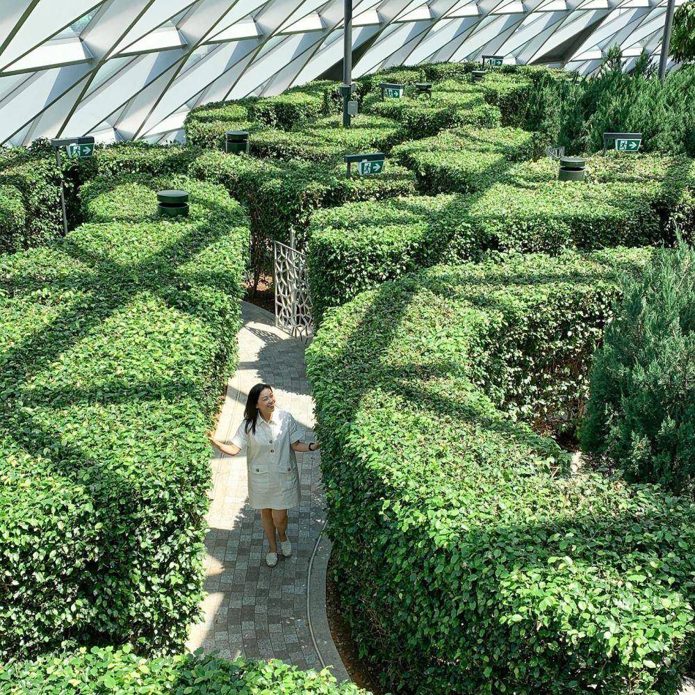 spot wisata Hedge Maze di Changi Airport (instagram.com/jewelchangiairport)