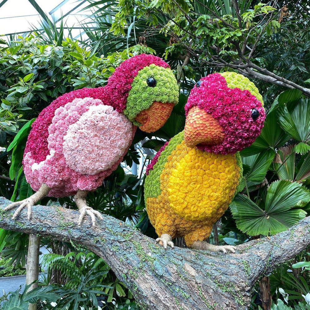 spot wisata Topiary Walk di Changi Airport (instagram.com/jewelchangiairport)