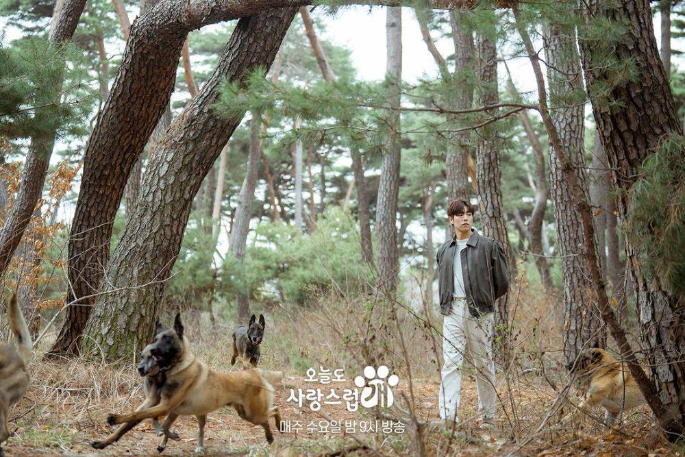 still cut A Good Day to be A Dog (instagram.com/mbcdrama_now)