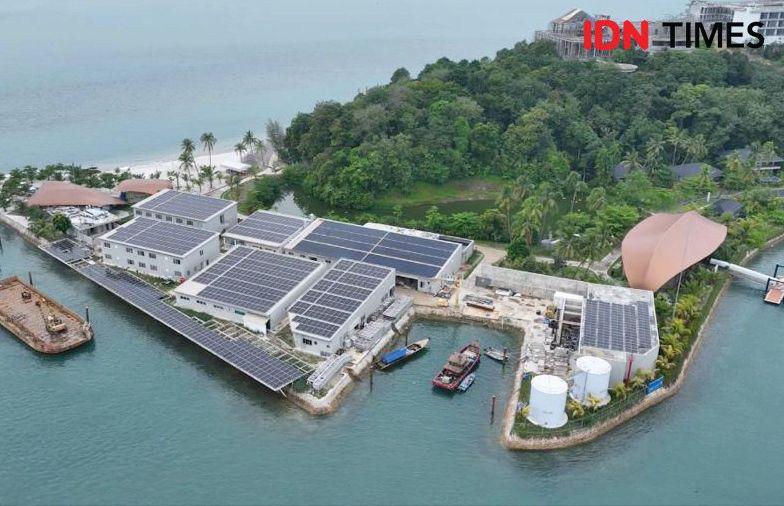 Ribuan panel surya yang terletak di Pulau Nirup, Belakang Padang, Kota Batam, Provinsi Kepulauan Riau (IDN Times / Putra Gema Pamungkas)