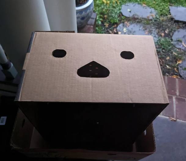 potret pareidolia pada kardus (reddit.com/tmckearney)