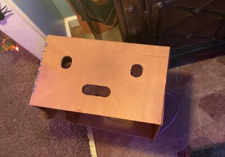 potret pareidolia pada kardus (reddit.com/Roseph88)