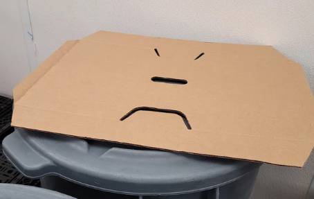 potret pareidolia pada kardus (reddit.com/GW2RNGR)