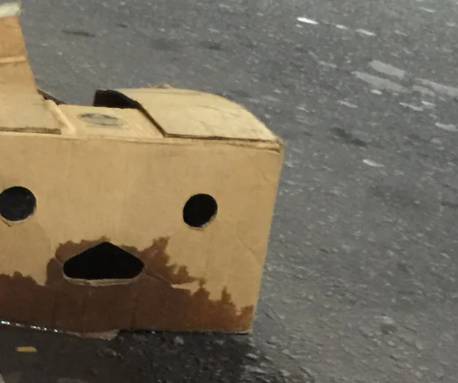 potret pareidolia pada kardus (reddit.com/BelatedVanadate601)