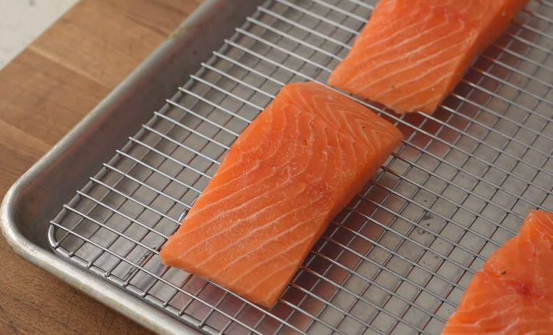 ilustrasi salmon (YouTube.com/Brian Lagerstrom)