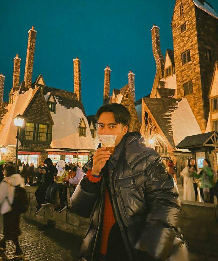 potret Vidi Aldiano pertama kali main ke Universal Studio Japan (instagram.com/vidialdiano)