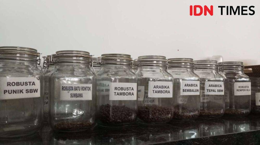 Jenis-jenis kopi khas NTB. (IDN Times/Muhammad Nasir)
