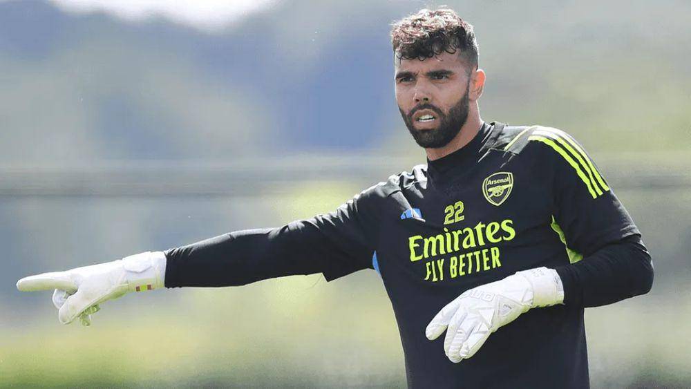 David Raya (arsenal.com)