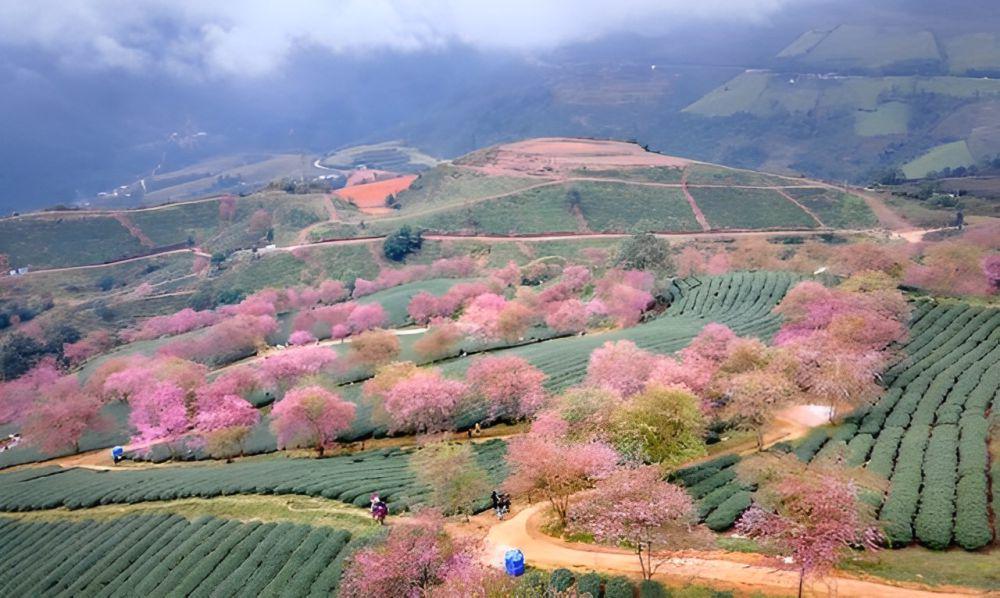 Sa Pa, Vietnam (pexels.com/Quang Nguyen Vinh)