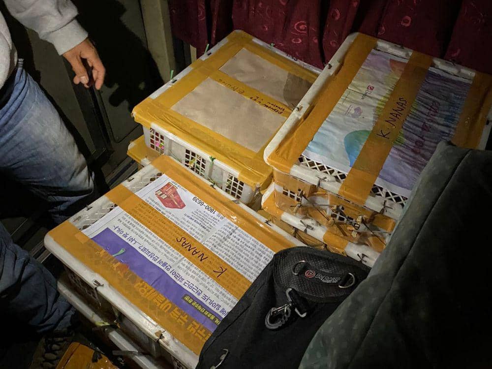 Penyeludupan 787 Ekor Burung Liar Asal Sumsel Digagalkan di Lampung