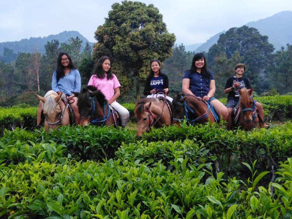 Agrowisata Gunung Mas (instagram.com/drh.ingridvm)