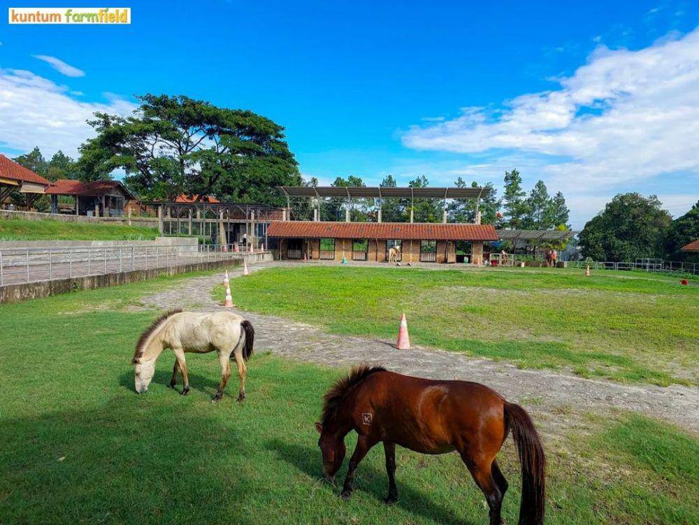 Kuntum Farmfield (instagram.com/kuntumfarmfield)
