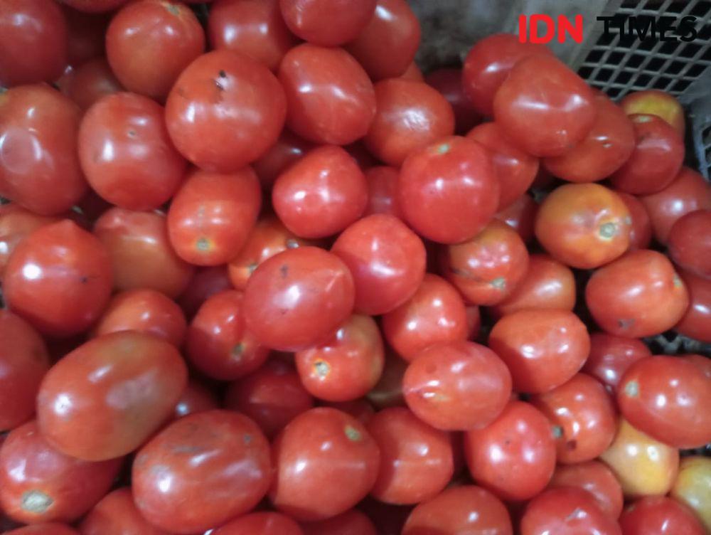 Harga Tomat di Magetan Naik Perkilo Rp20 Ribu