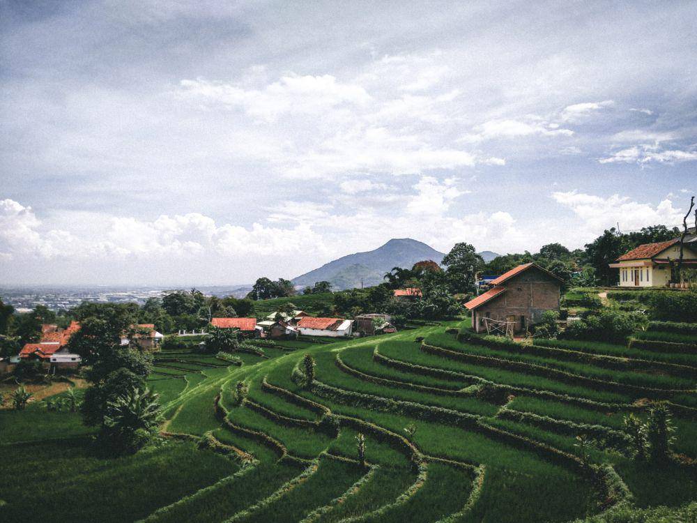 Rumah di dekat sawah (unsplash.com/Ramadhani Rafid)