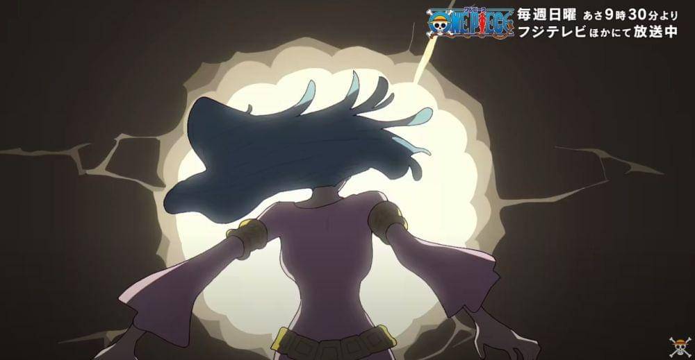 Toei Animation/One Piece