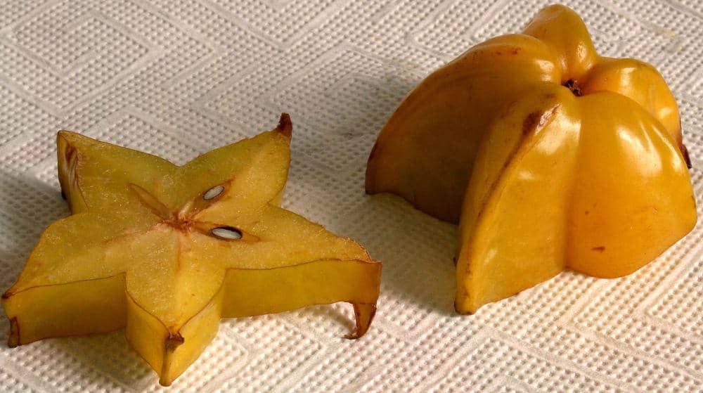 ilustrasi belimbing (commons.wikimedia.org/Hedwig Storch)