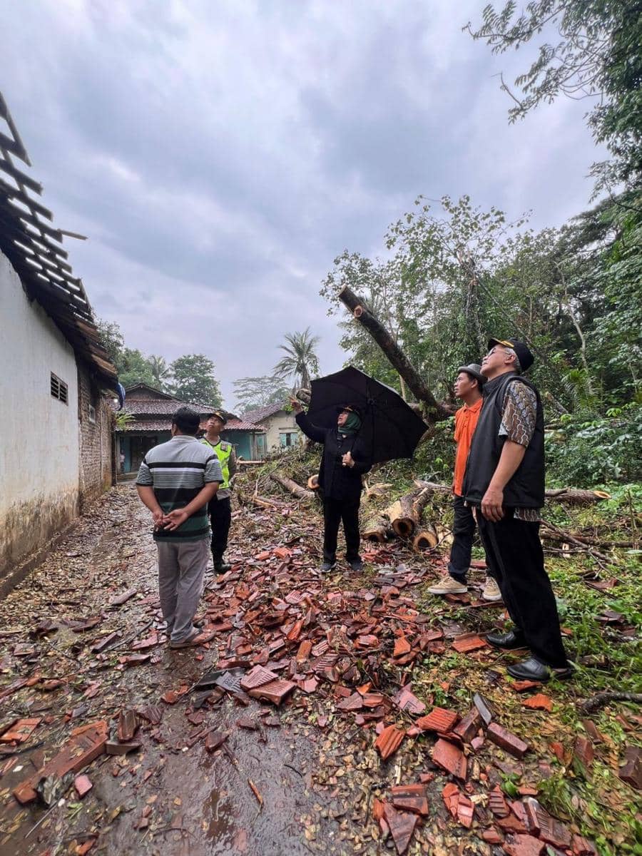 Pengecekan lokasi dampak angin kencang. (Dok. Istimewa)