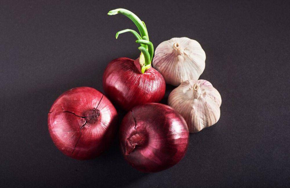 ilustrasi bawang merah dan bawang putih (freepik.com/standret)