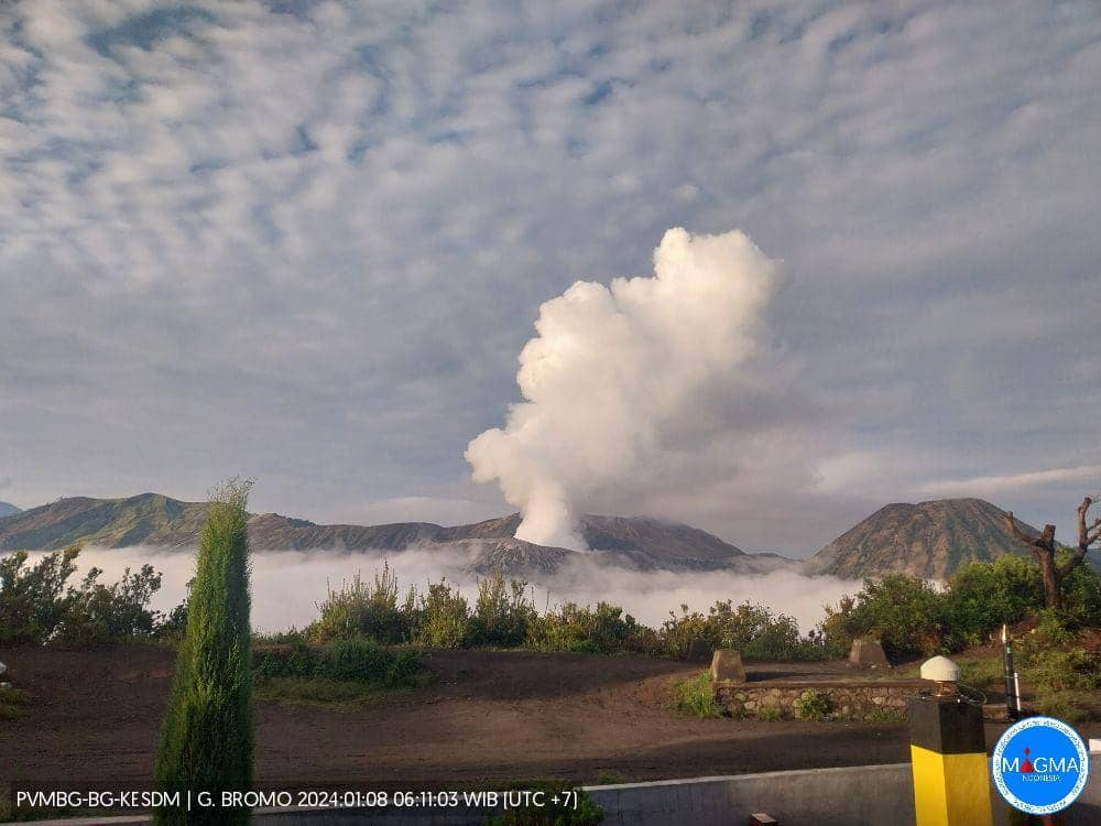 Muncul Asap Setinggi 700 Meter, Gunung Bromo Kembali Ditutup